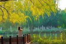 世界杯八强首发-世界杯八强首发，战术布局与球员风采